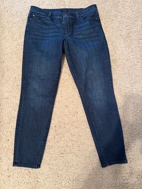 Ann Taylor Dark Indigo Skinny Jeans
